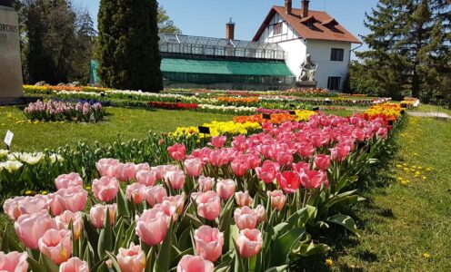Grădina Botanică „Alexandru Borza”, una dintre cele mai vizitate destinații ale orașului