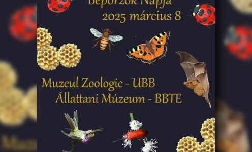 Cea de-a VIII-a ediție a Zilei Polenizatorilor, la UBB