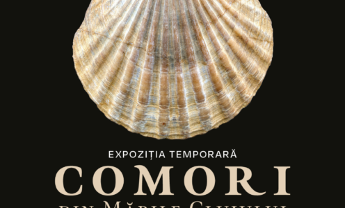 Expoziția „Comori din mările Clujului”, organizată la UBB   