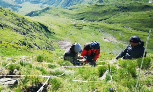 Ecosistemele europene răspund deja la încălzirea climatică, arată un studiu la care au contribuit cercetătorii UBB